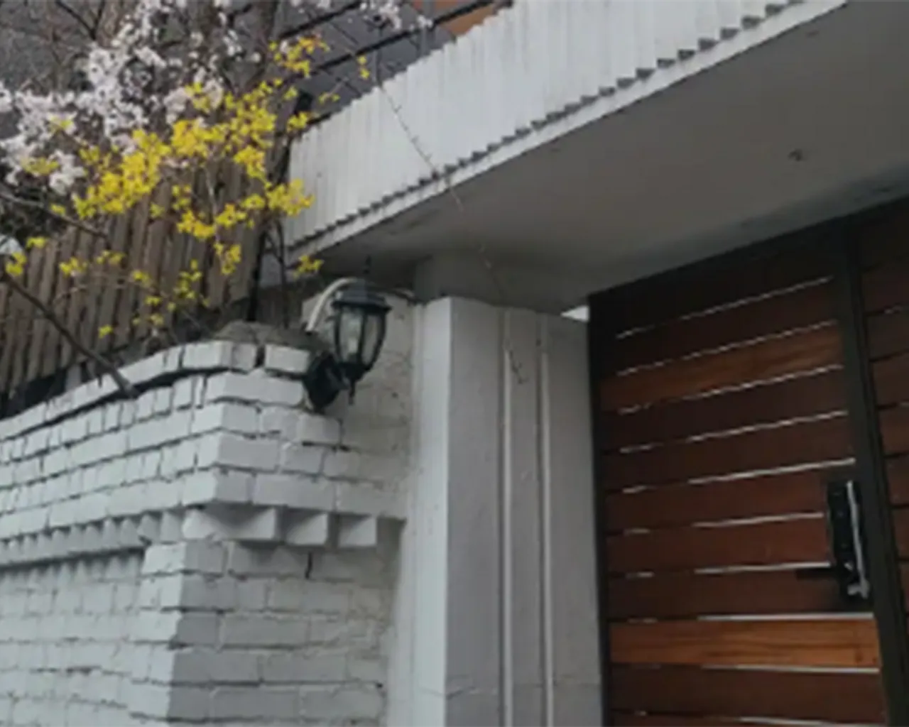 대표 사진