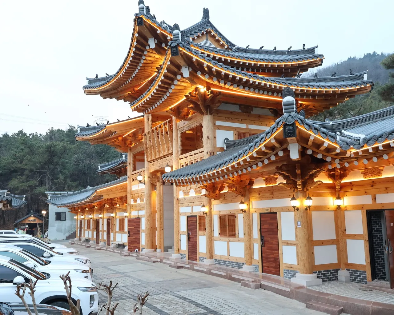 대표 사진