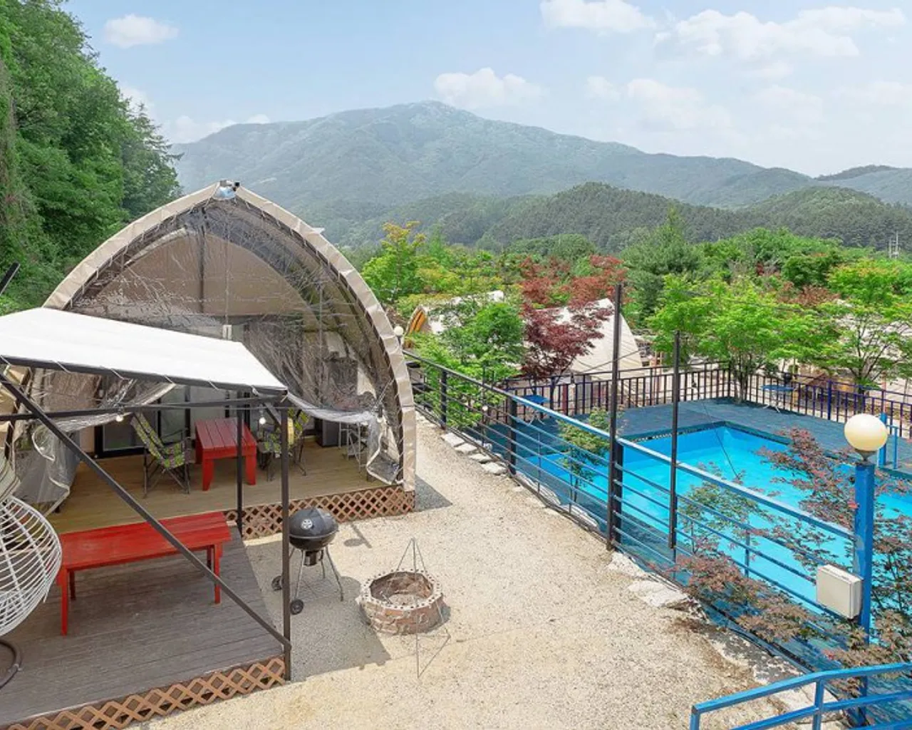 대표 사진