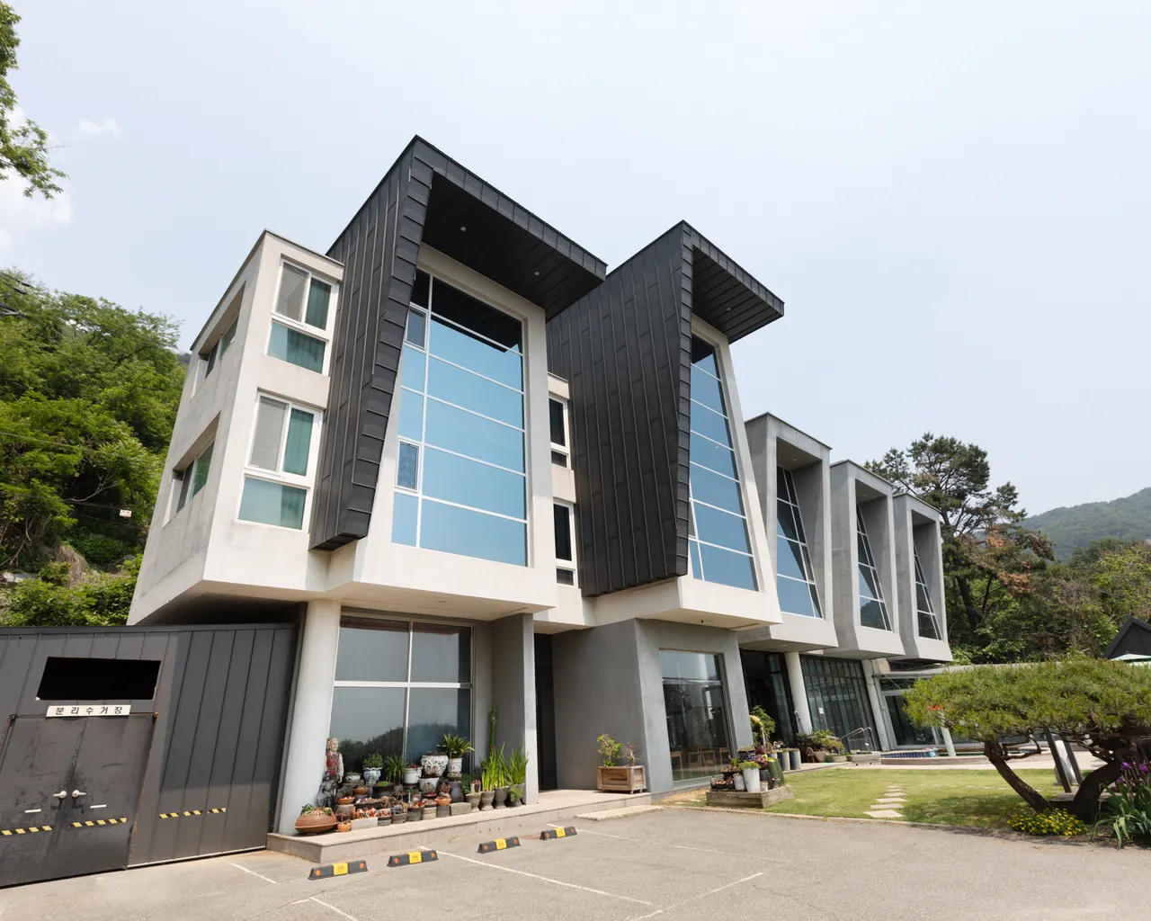대표 사진