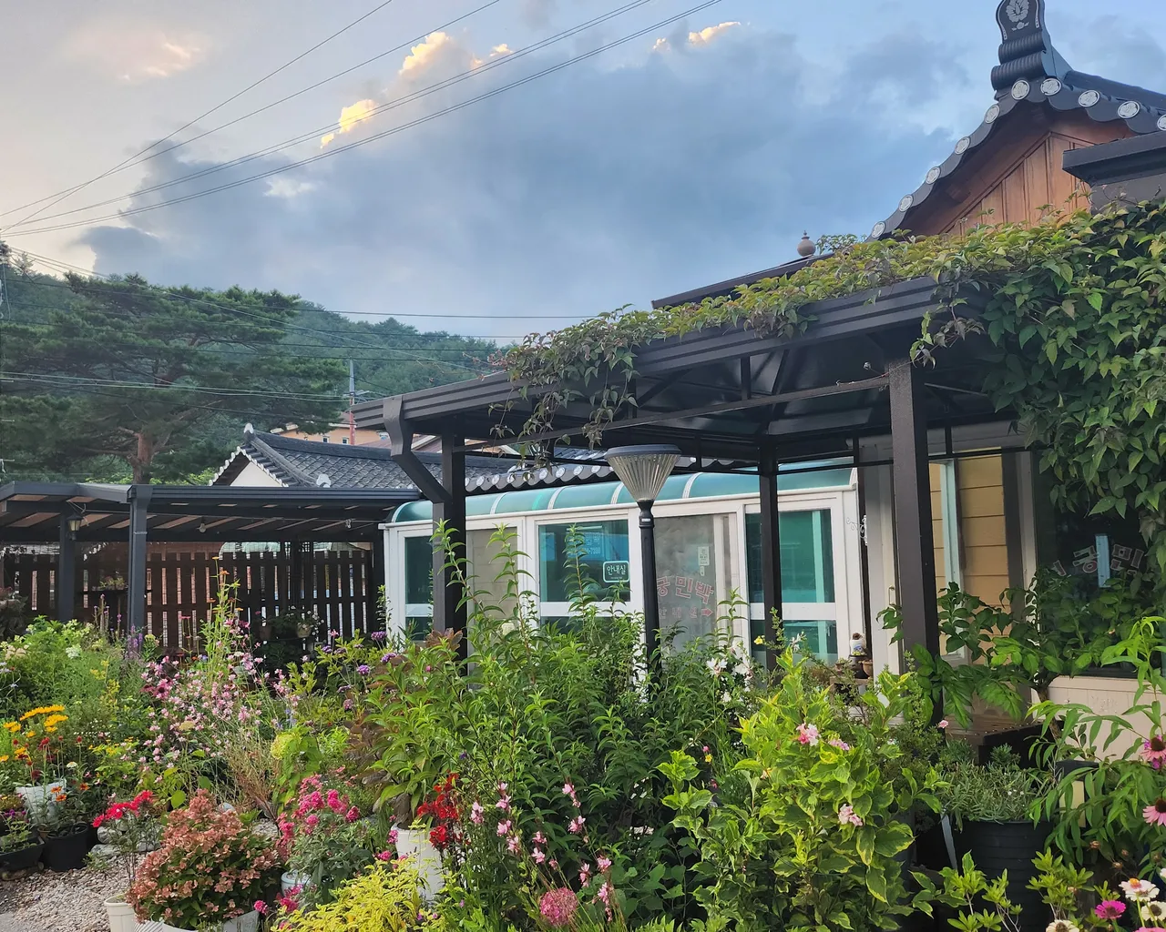 대표 사진