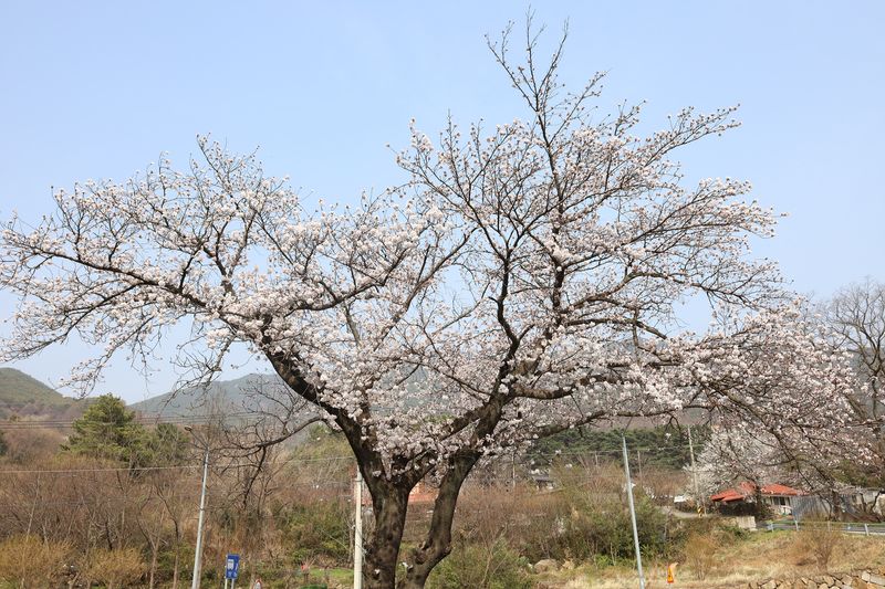 기타