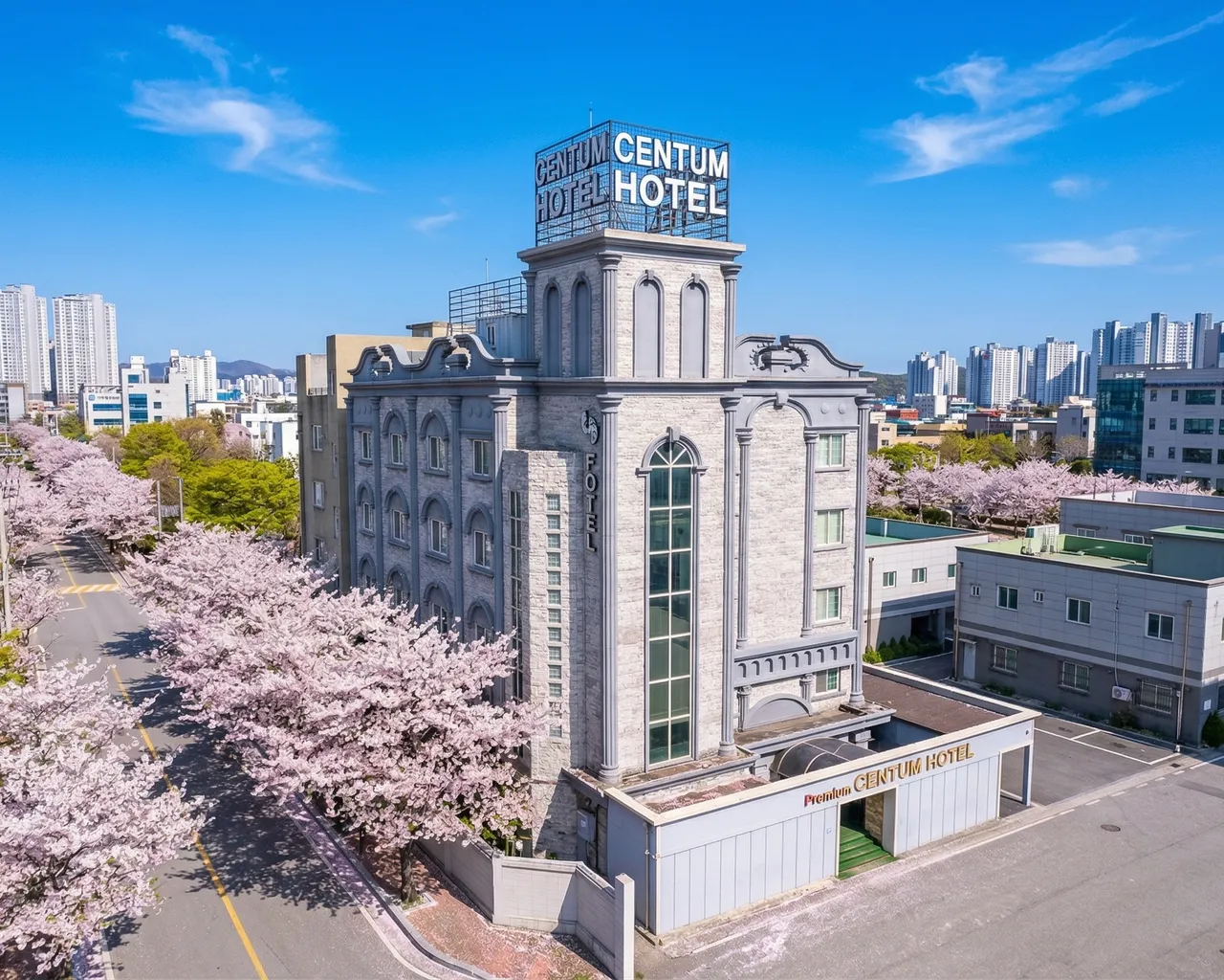 대표 사진