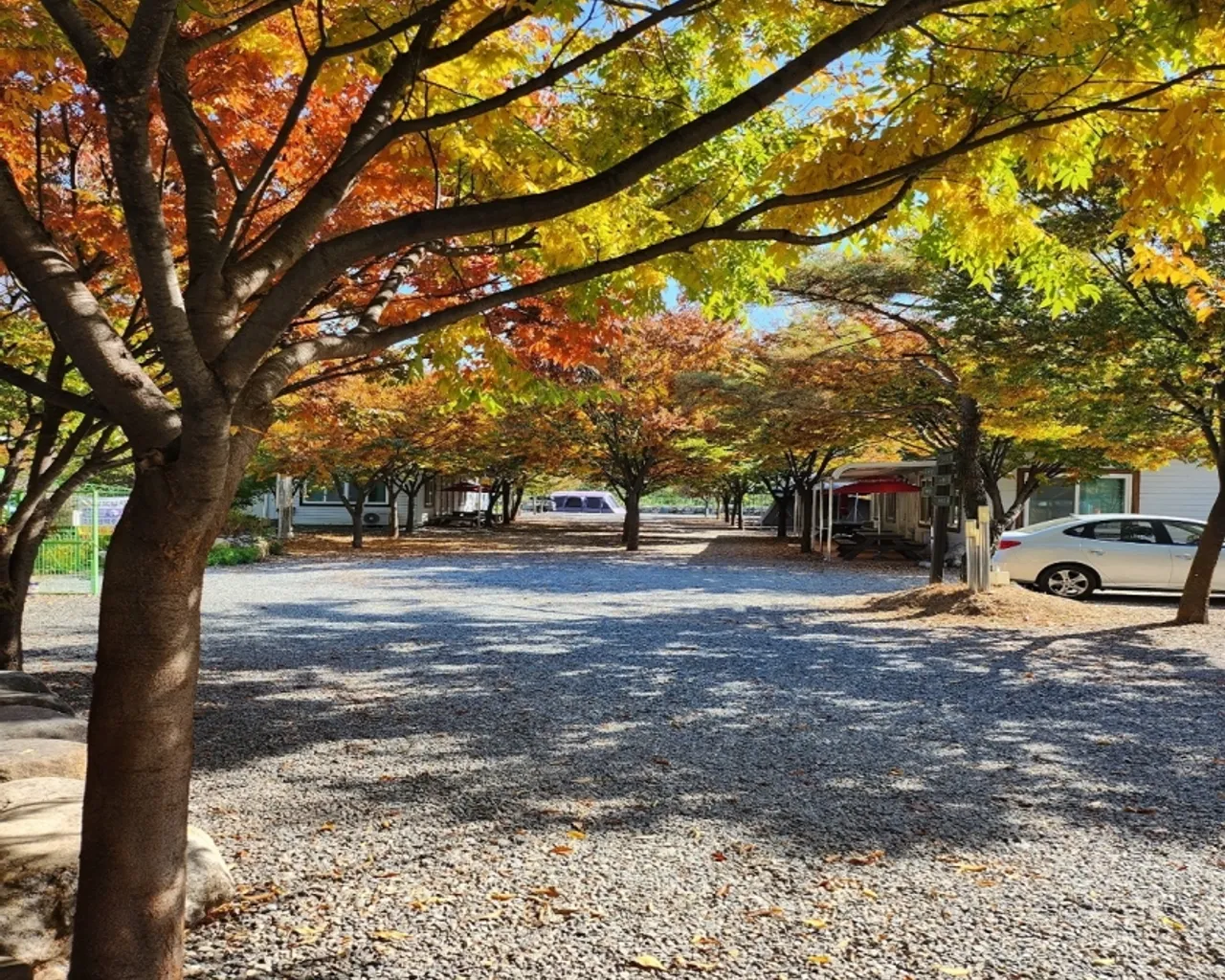 대표 사진