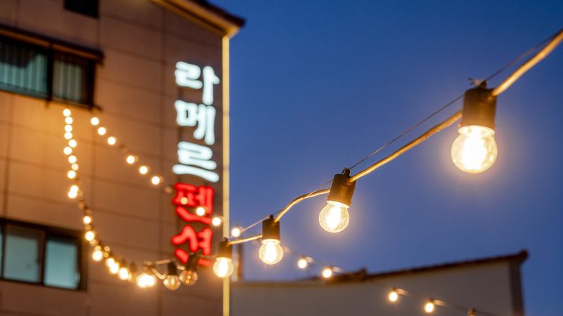 기타
