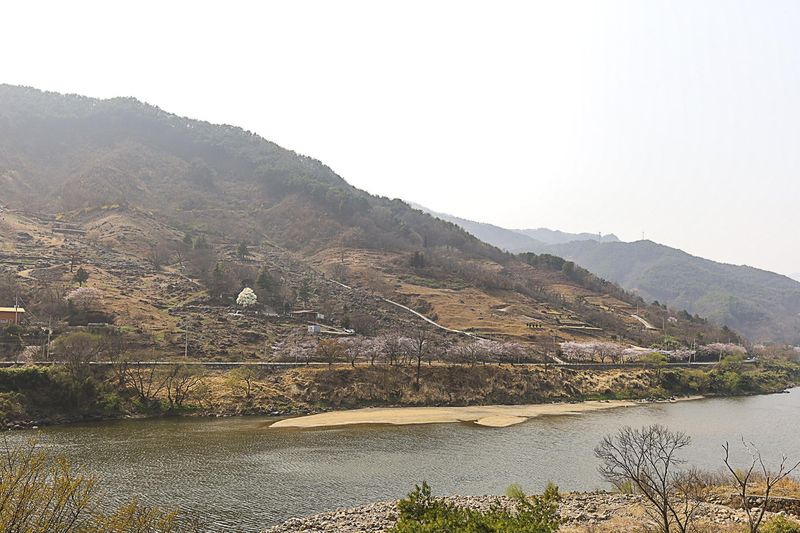 기타