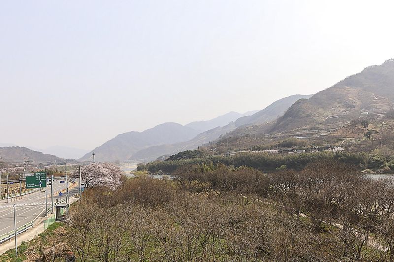 기타