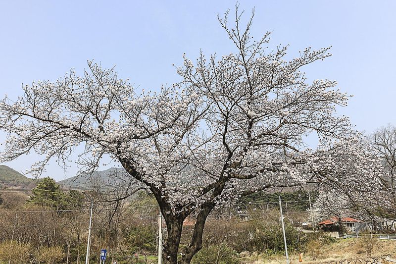 기타