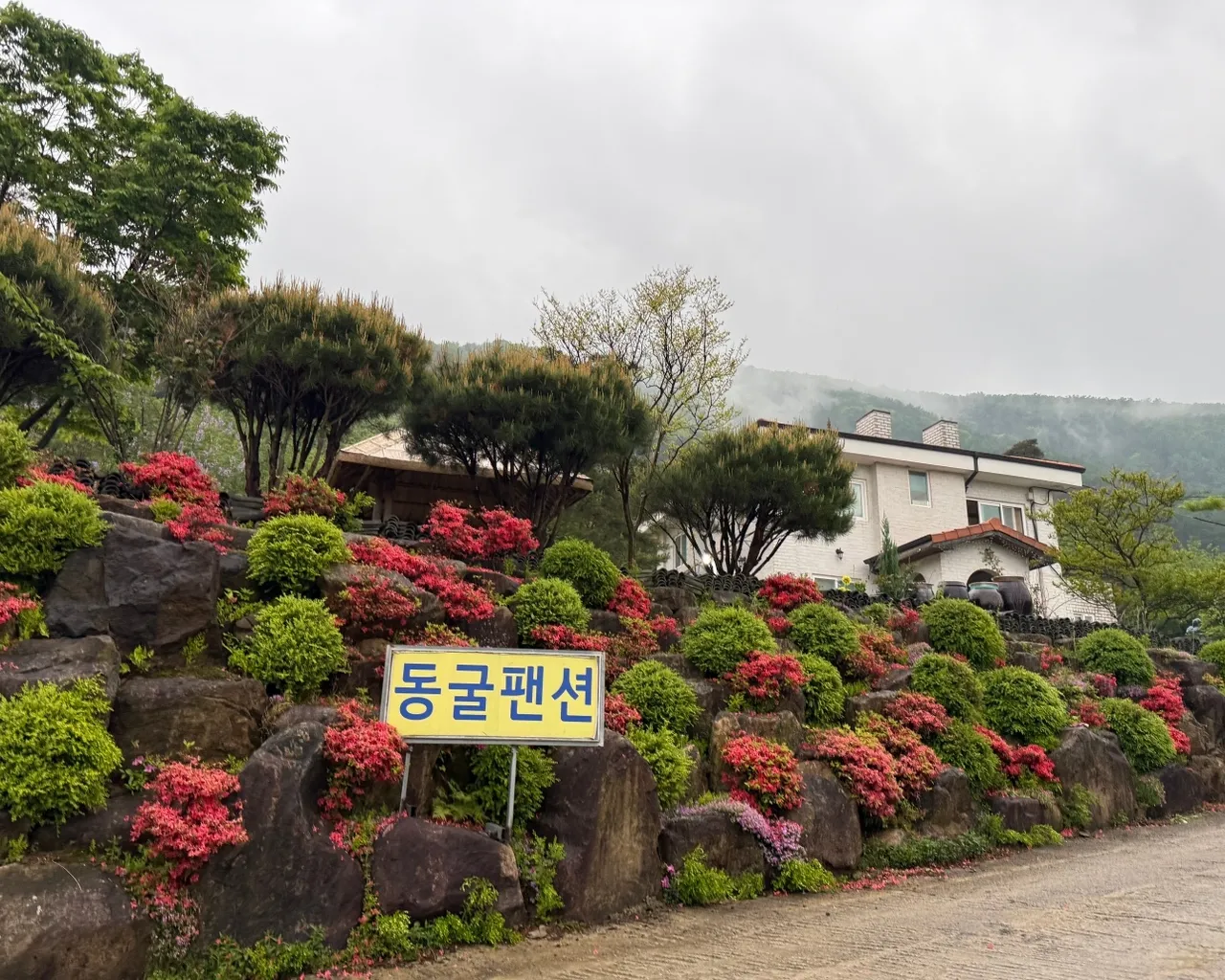 대표 사진