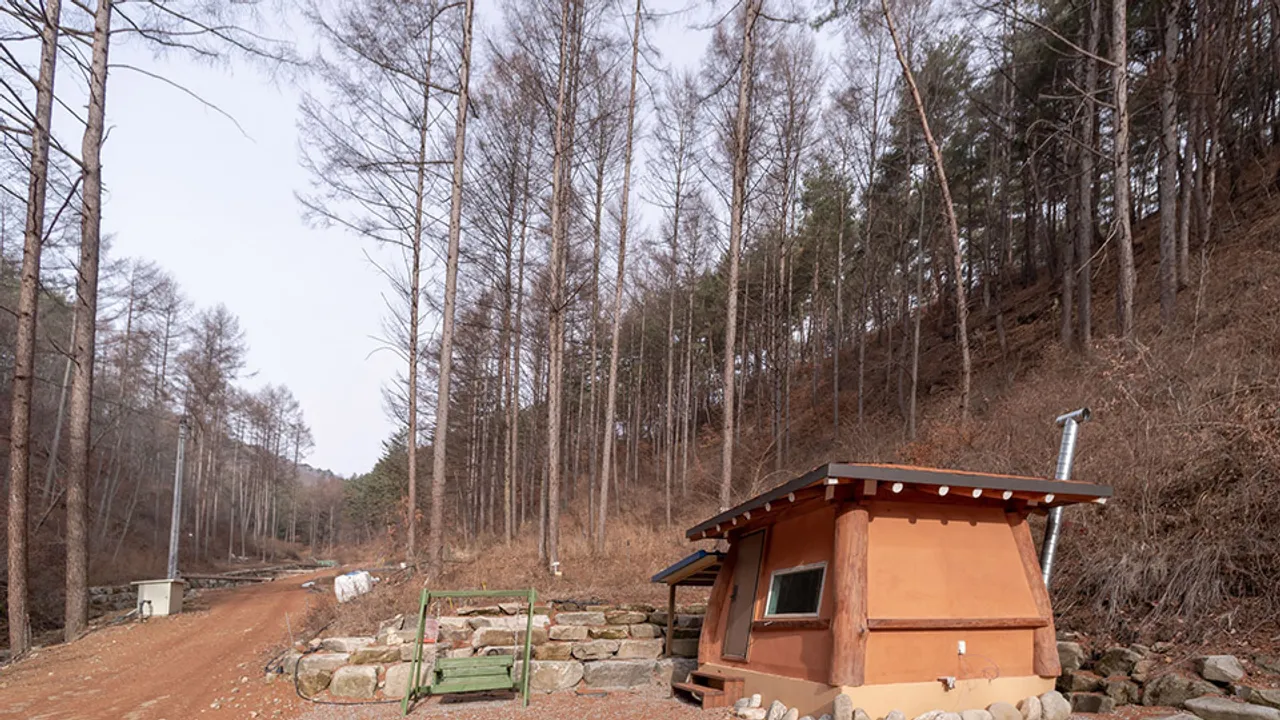 숲사이길펜션 사진