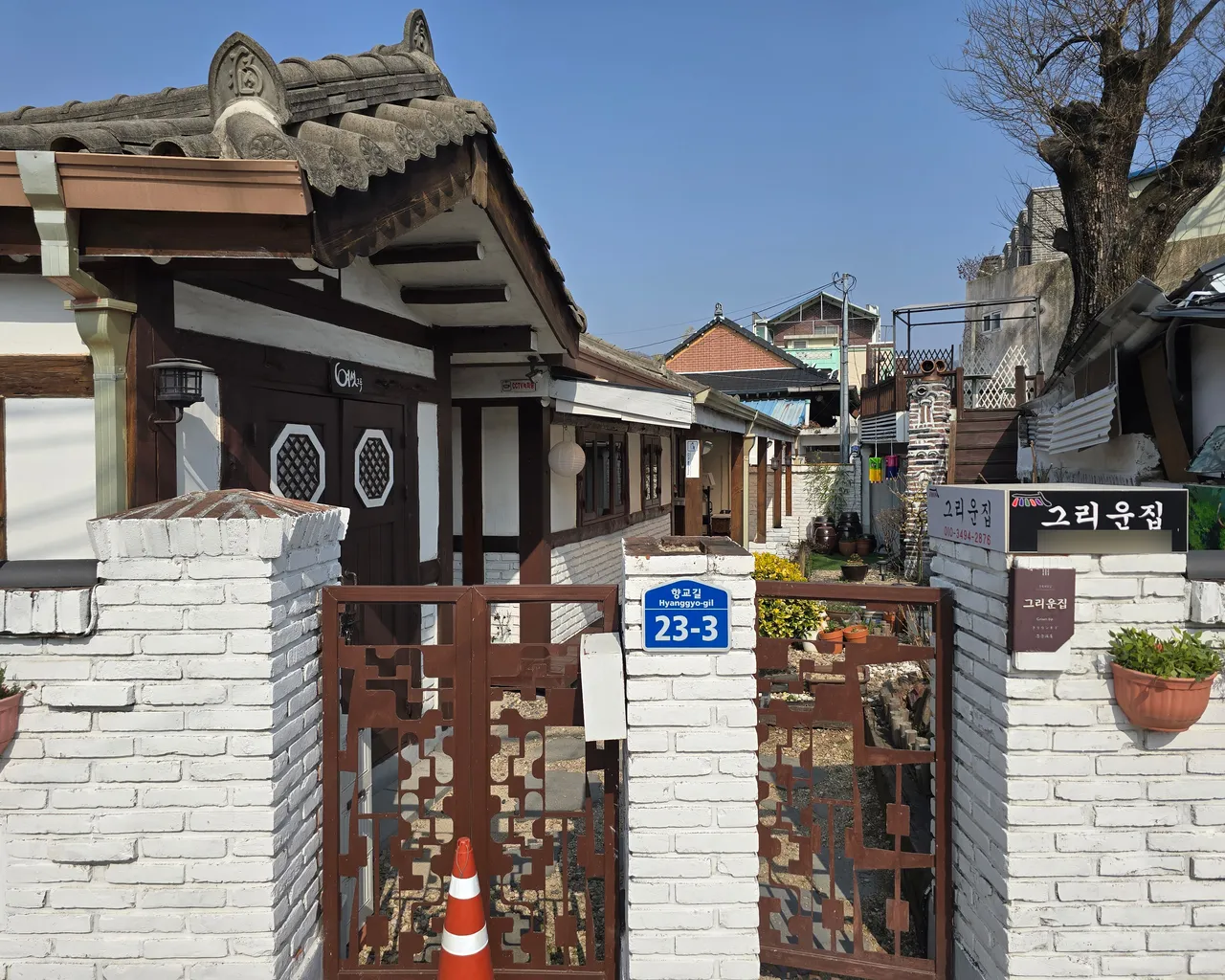 대표 사진