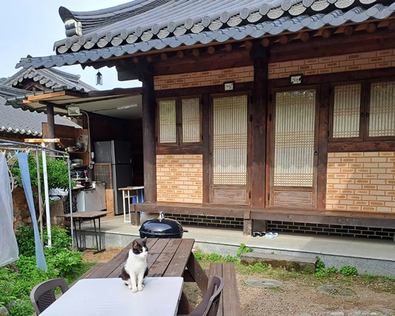 대표 사진