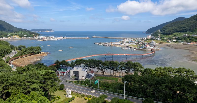대표사진