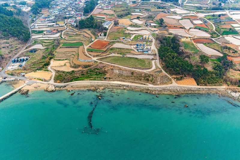 전경