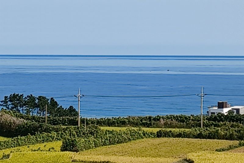 전경