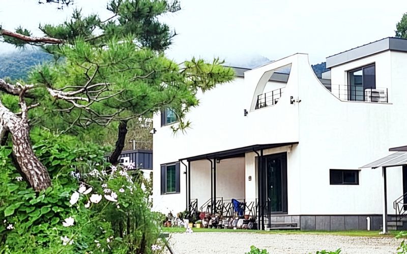대표사진