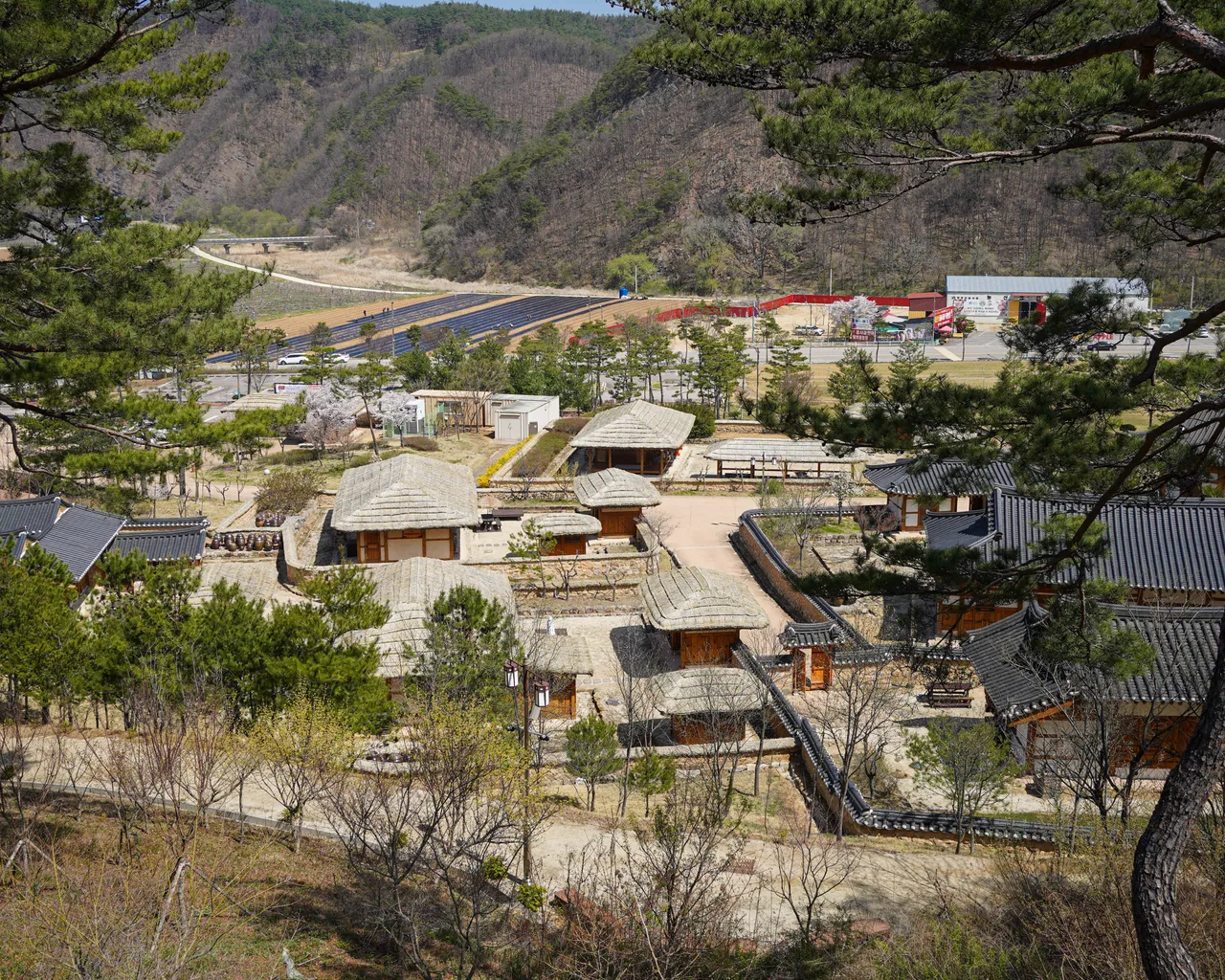 대표 사진
