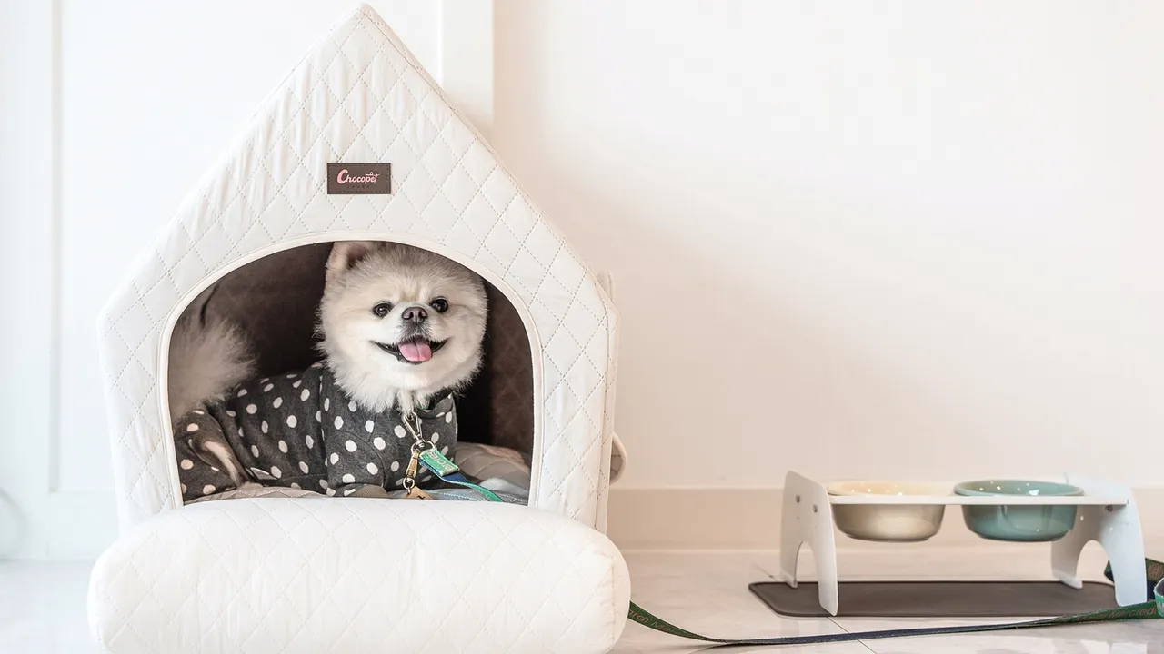 라인뷰 풀빌라 사진
