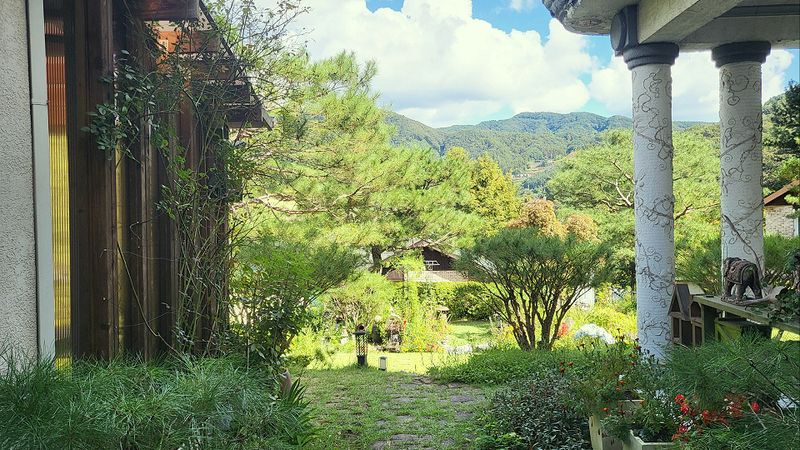 전경