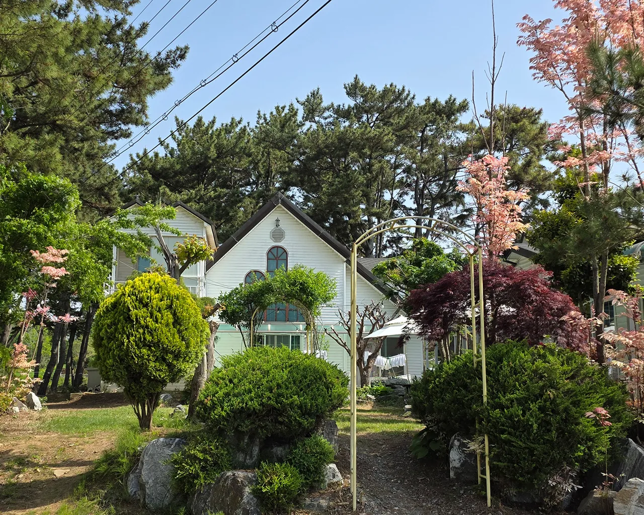 대표 사진