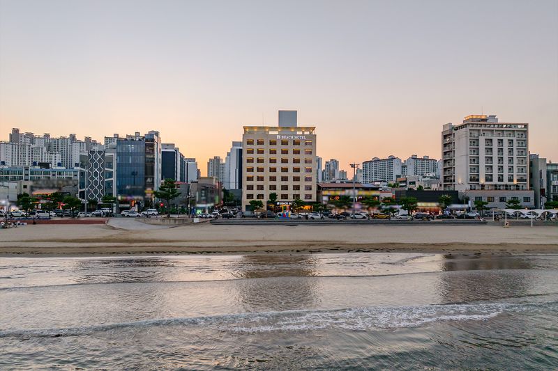 대표사진