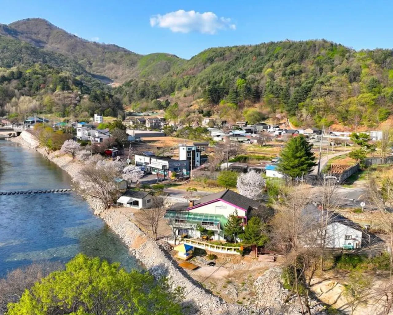 대표 사진