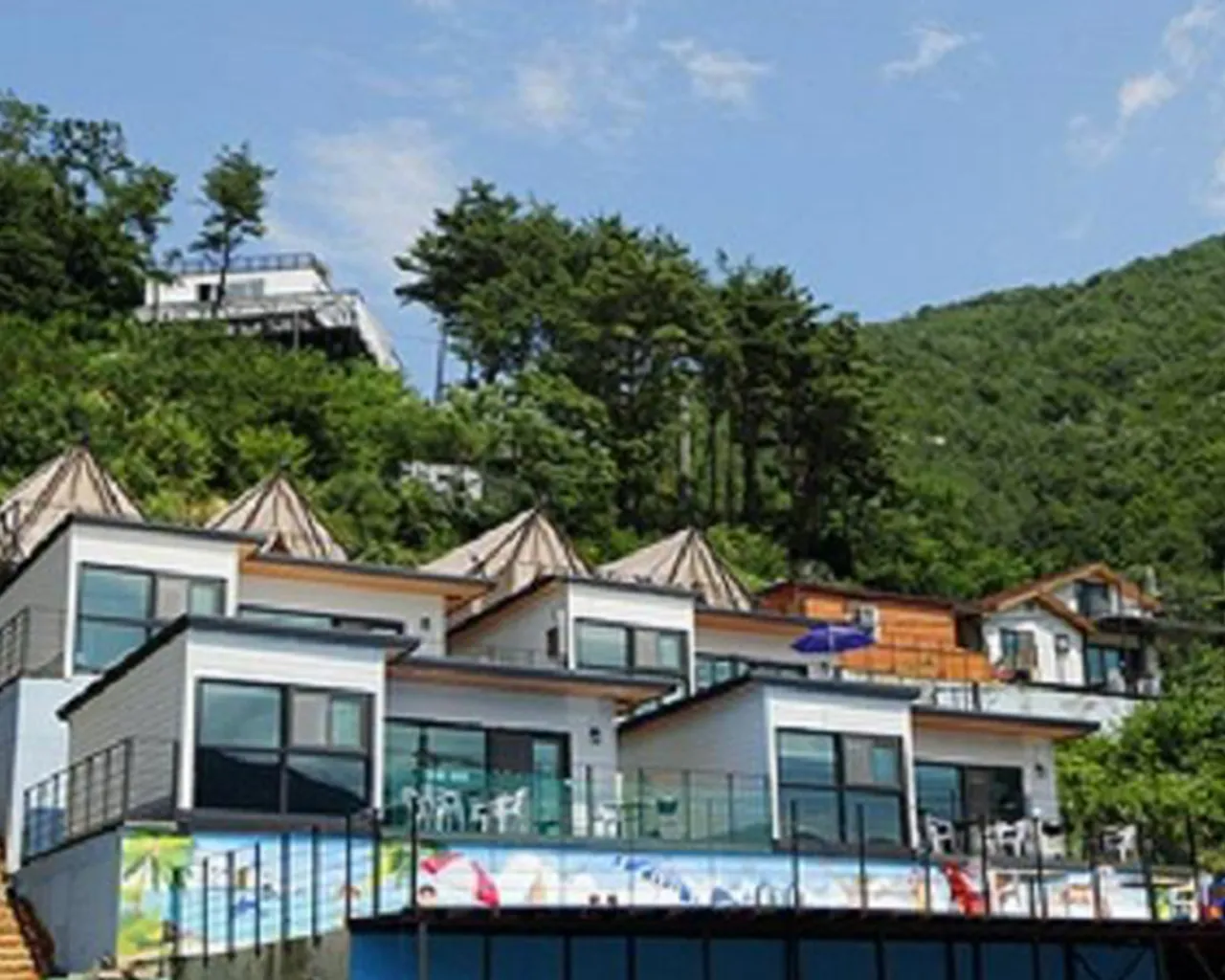 대표 사진