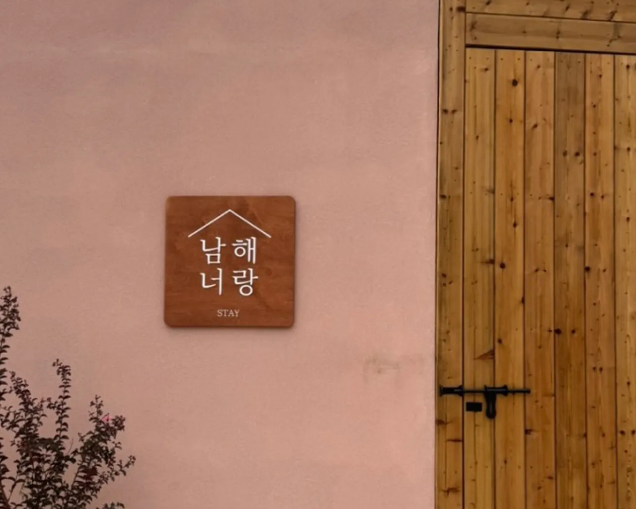 대표 사진
