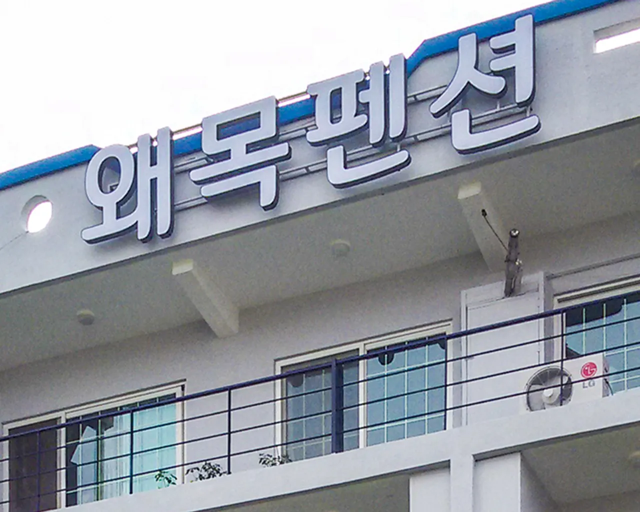 대표 사진