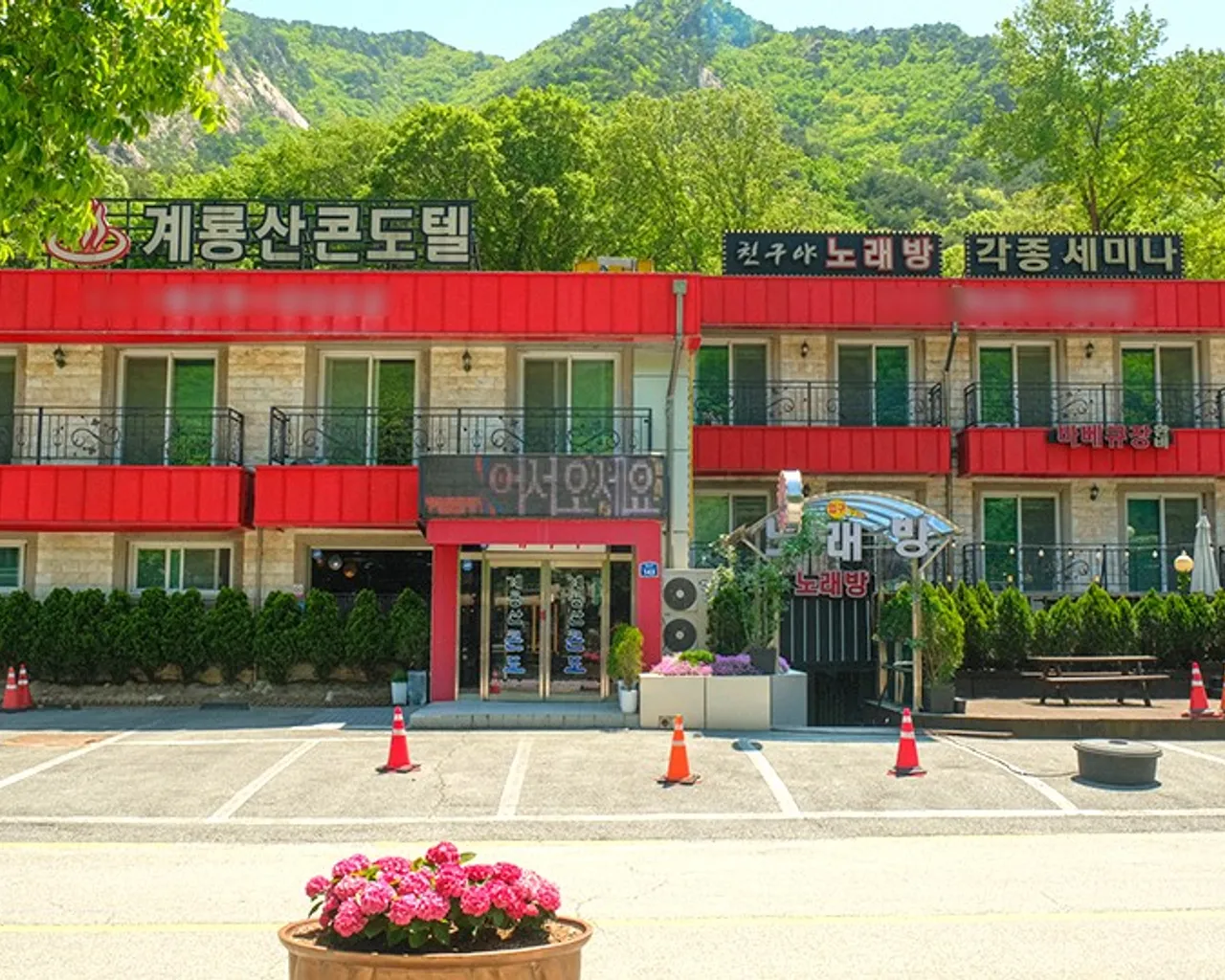 대표 사진