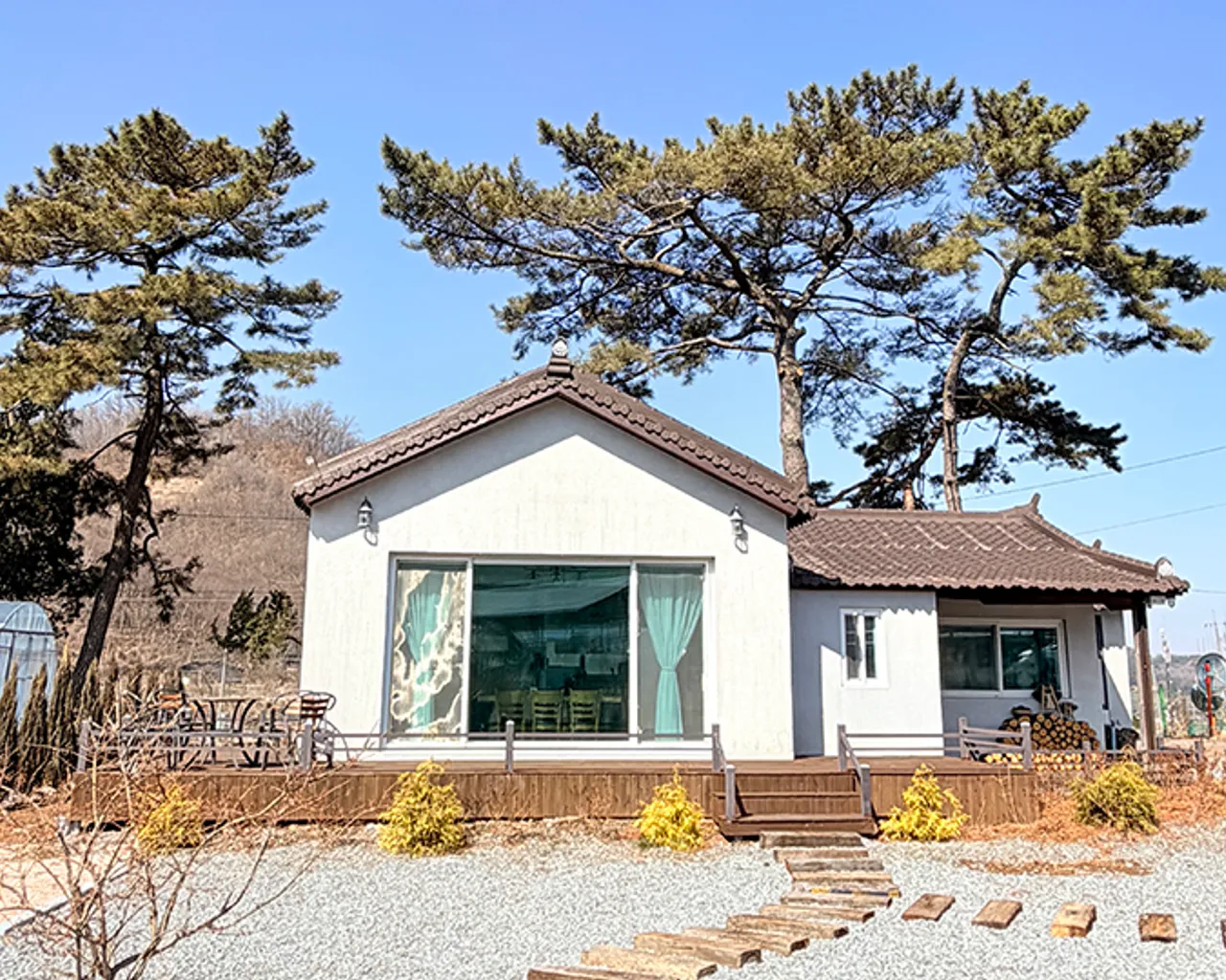 대표 사진