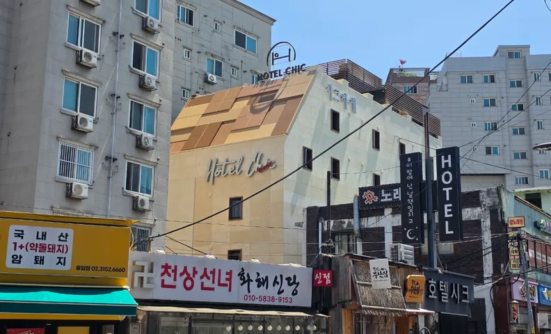 응암 시크