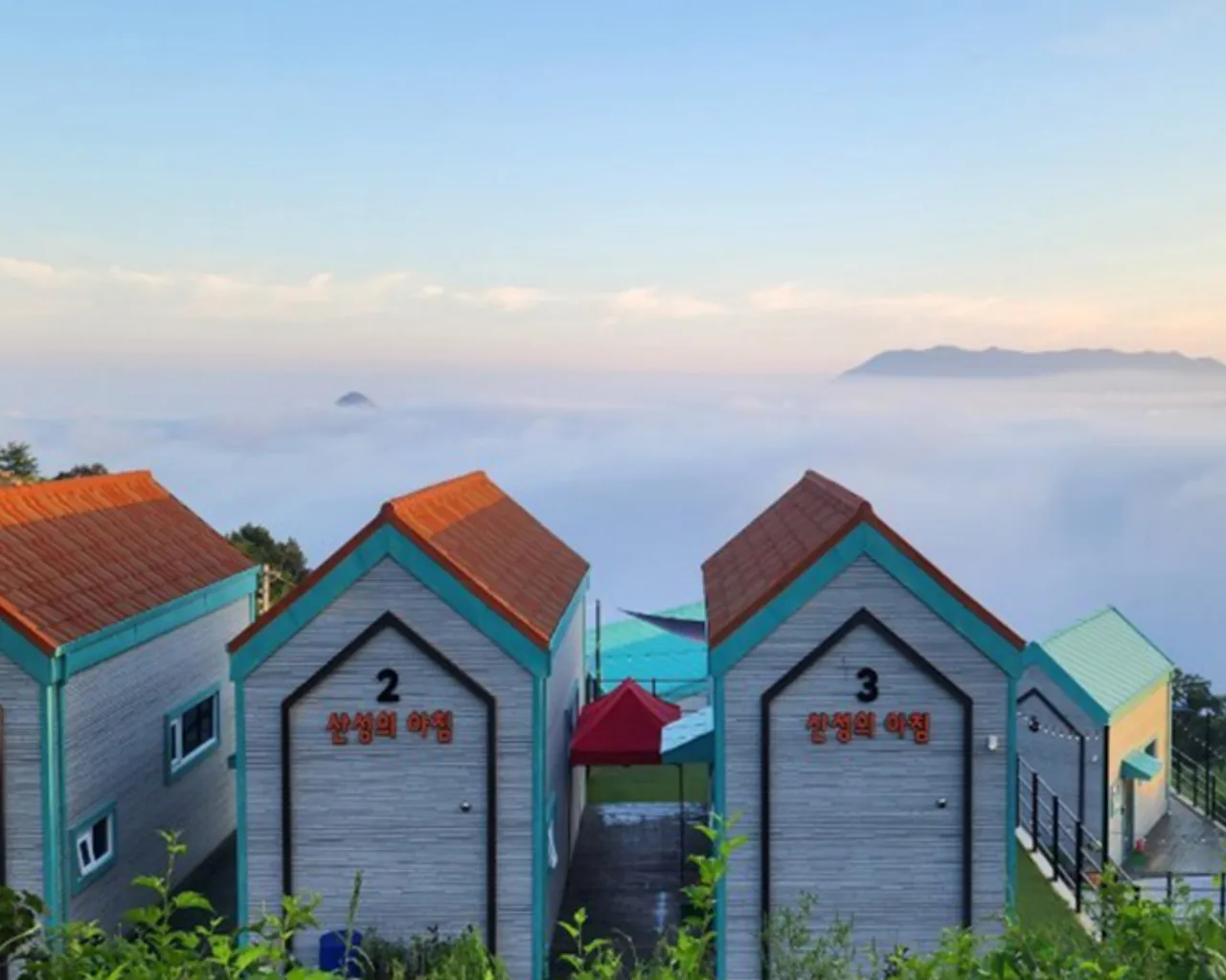 대표 사진