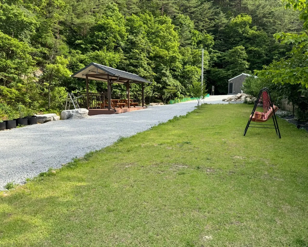 대표 사진