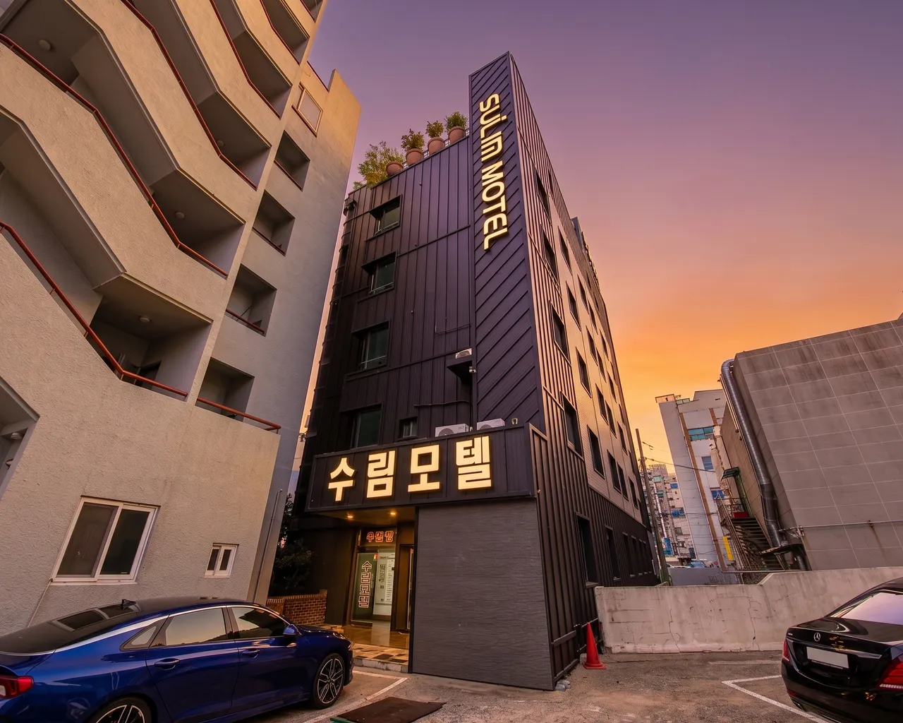 대표 사진