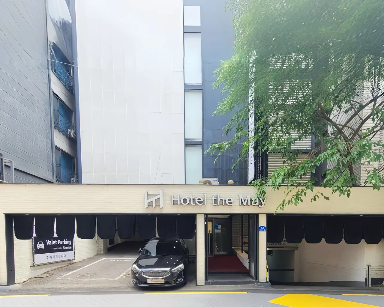 대표 사진