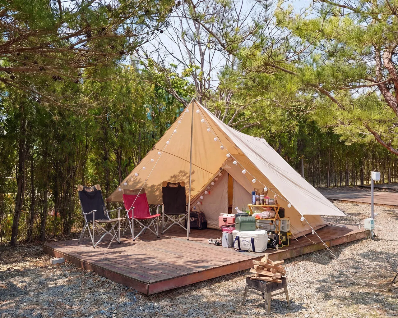 대표 사진