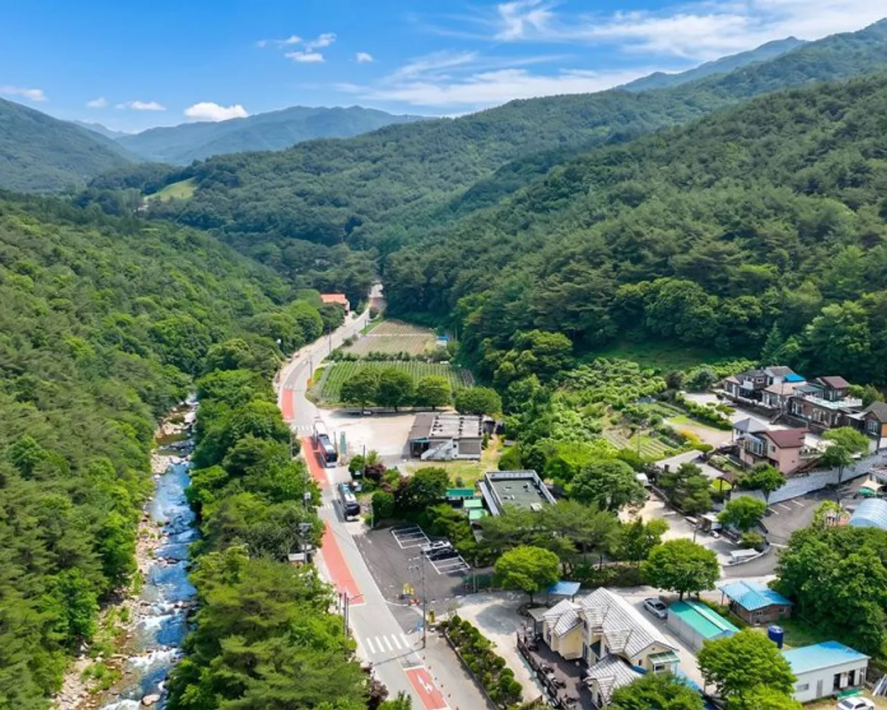대표 사진