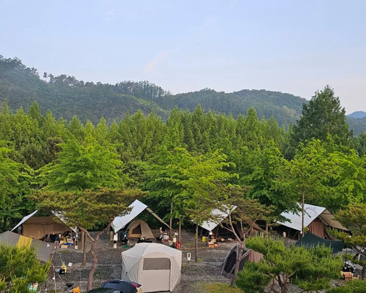 대표 사진