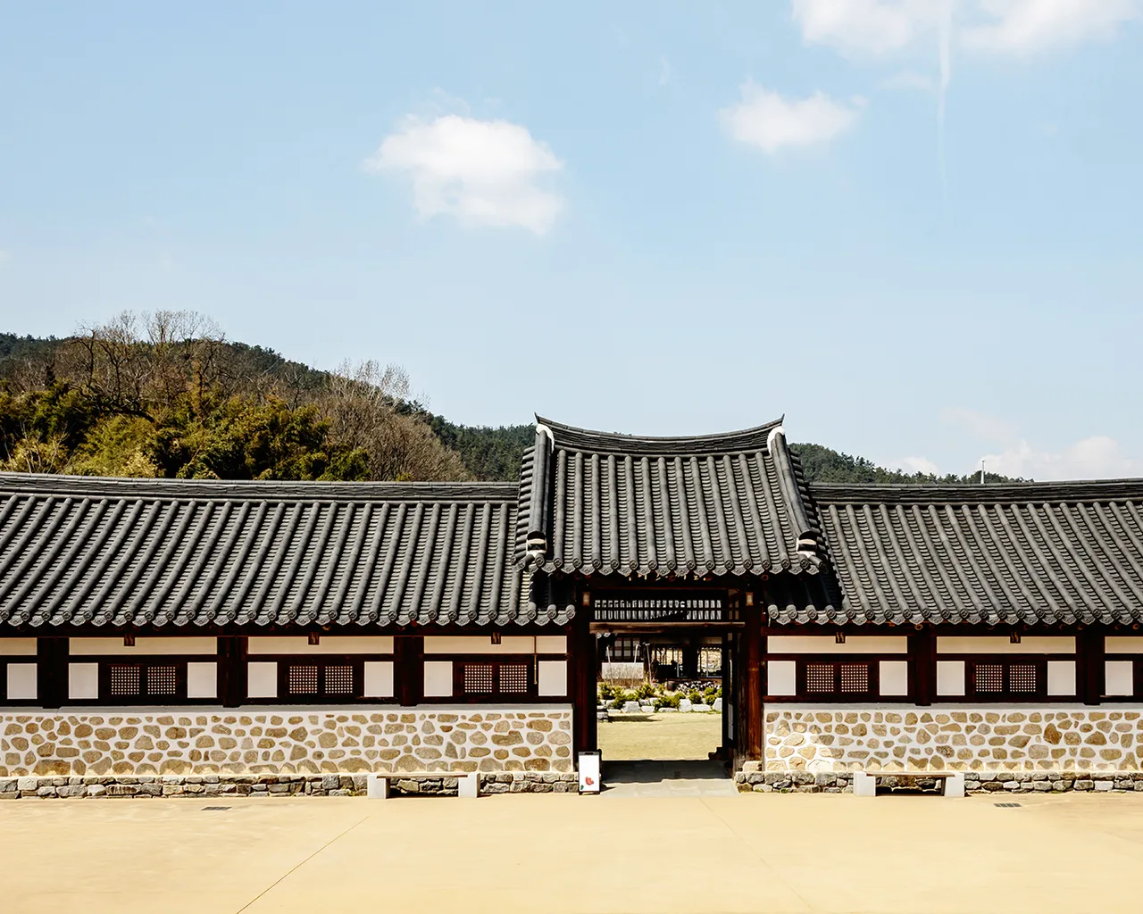 대표 사진