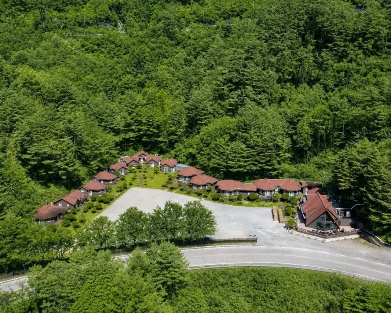 대표 사진