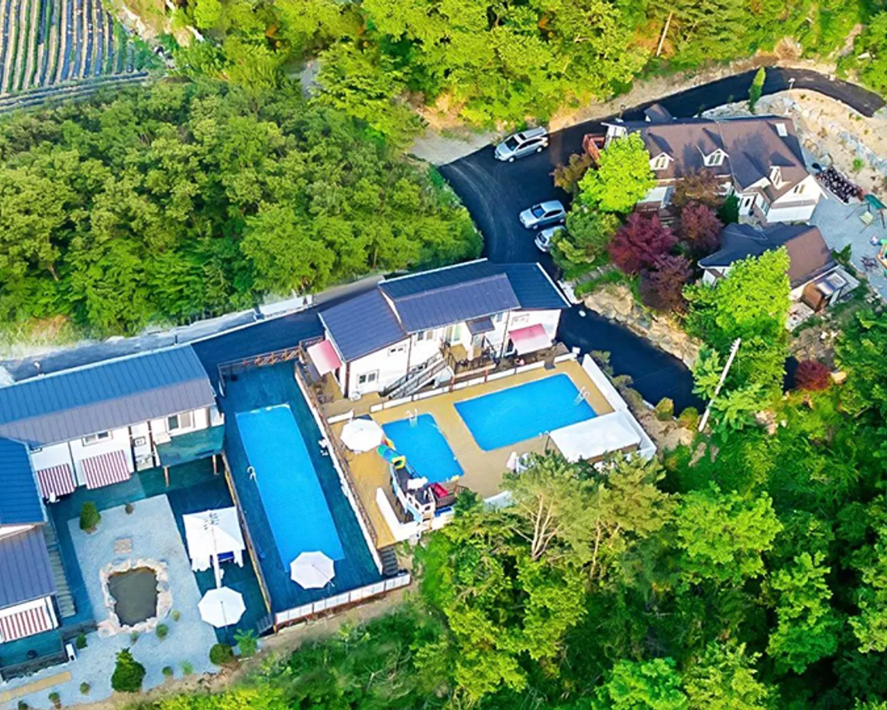 대표 사진