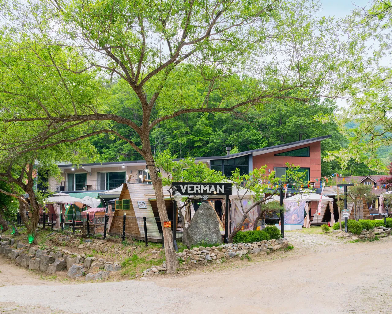 대표 사진