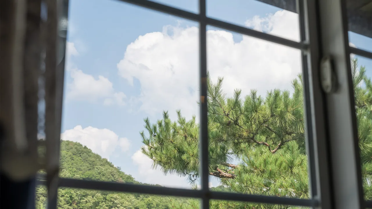 타샤의 정원 사진