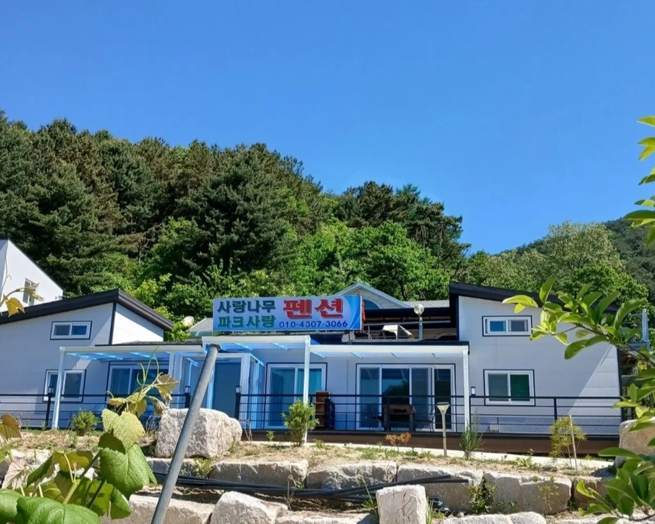 대표 사진