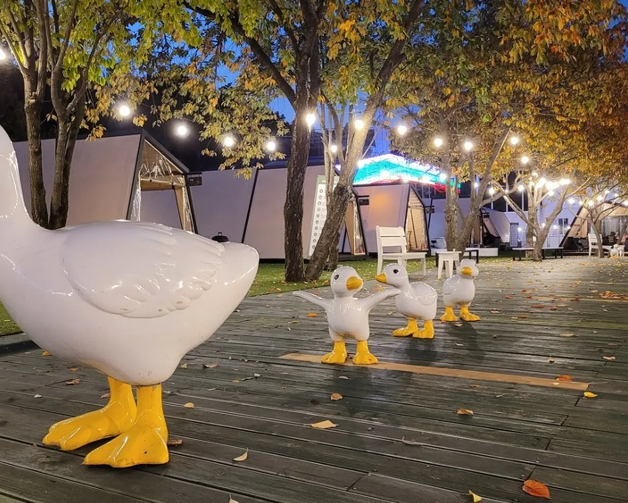 대표 사진