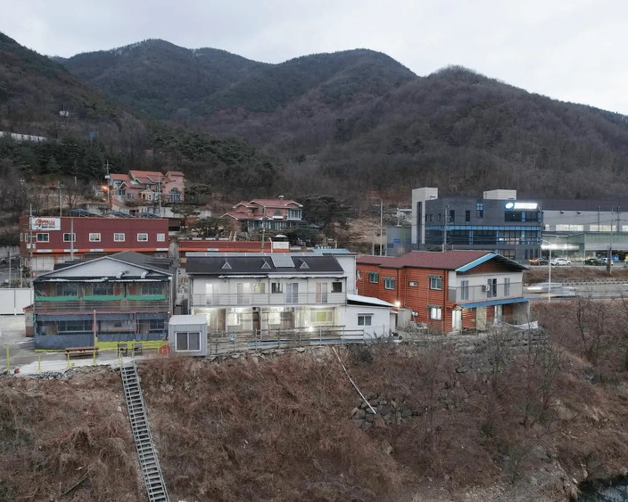대표 사진
