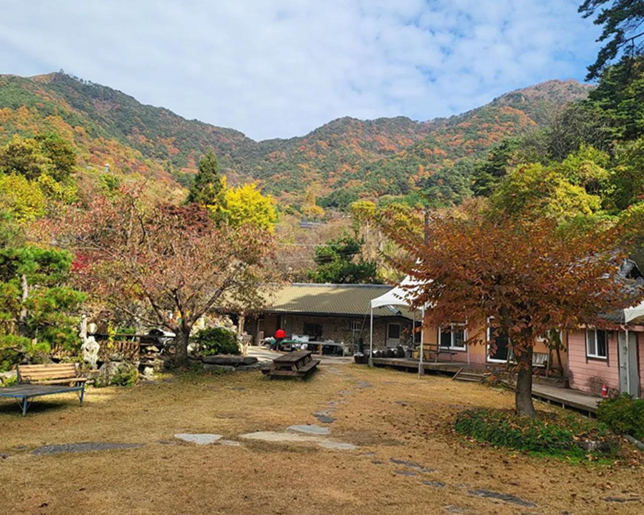 대표 사진