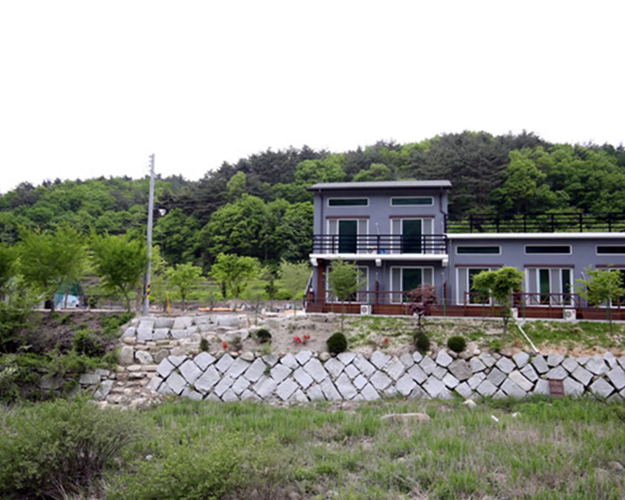 대표 사진