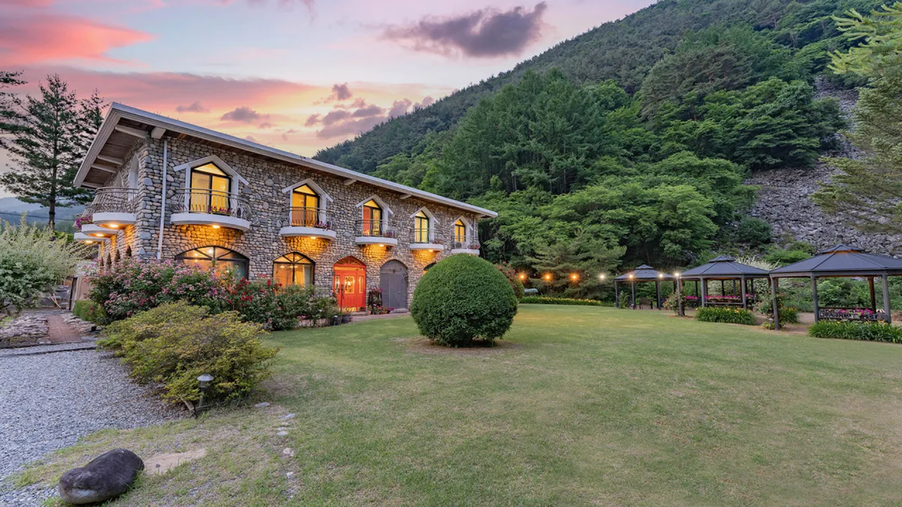 강과 소나무 사진